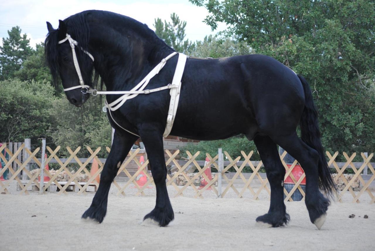 Les Gites Du Parc Animalier De Ginasservis المظهر الخارجي الصورة