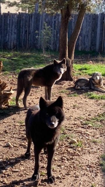 Les Gites Du Parc Animalier De Ginasservis المظهر الخارجي الصورة